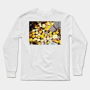 Aspen Leaves and Fall Colors in Colorado Long Sleeve T-Shirt